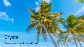  Presentation with maldives - Presentation design featuring beautiful tropical maldives island white sandy beach and sea with palms tree background and a light blue colored foreground