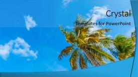  Presentation with maldives - Colorful presentation enhanced with beautiful tropical maldives island white sandy beach and sea with palms tree backdrop and a teal colored foreground