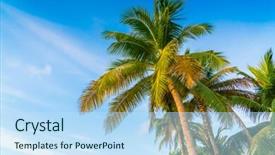  Presentation with maldives - Cool new PPT layouts with beautiful tropical maldives island with palms tree backdrop and a sky blue colored foreground