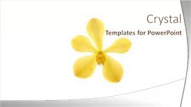  Presentation with lime green and white flower - Presentation design featuring beautiful-tropical-orchid-flower background and a  colored foreground