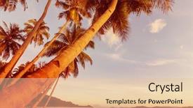  Presentation with costa rica - Slide deck consisting of beautiful tropical pacific ocean coast background and a lemonade colored foreground