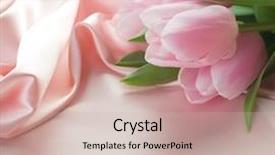 Presentation with silk - Slides with beautiful tulips and silk with copy space background and a soft green colored foreground