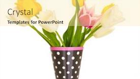  Presentation with tulips - 