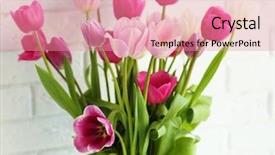  Presentation with white brick wall - Audience pleasing theme consisting of beautiful tulips in vase on white brick wall background backdrop and a coral colored foreground