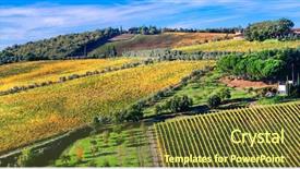  Presentation with tuscany - Theme with beautiful tuscany countryside - vast vineyards background and a tawny brown colored foreground