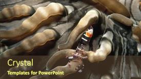  Presentation with sea - Audience pleasing theme consisting of beautiful-under-the-sea backdrop and a  colored foreground