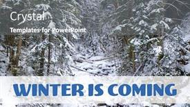  Presentation with winter forest - Slide set consisting of beautiful-view-of-snowy-forest background and a gray colored foreground