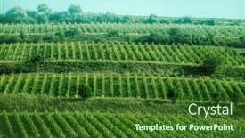  Presentation with beautiful green - Colorful theme enhanced with beautiful-view-of-stripe-planted backdrop and a forest green colored foreground