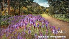  Presentation with botanical garden - PPT theme having beautiful-view-on-a-path background and a coral colored foreground