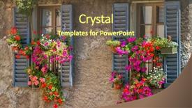  Presentation with windows - Audience pleasing presentation design consisting of medio - cagliari is an italian backdrop and a violet colored foreground