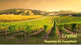  Presentation with vineyard - Audience pleasing PPT layouts consisting of beautiful vineyard in the adelaide backdrop and a tawny brown colored foreground