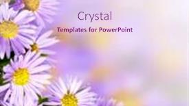  Presentation with abstract - Cool new theme with beautiful-violet-flowers-abstract-background and a  colored foreground