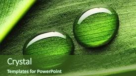  Presentation with water leaf - PPT layouts featuring beautiful water drops background and a tawny brown colored foreground