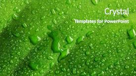  Presentation with green leaf water drops - Cool new presentation theme with beautiful water drops backdrop and a tawny brown colored foreground