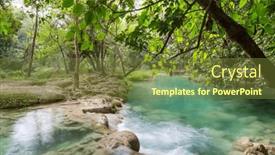  Presentation with jungle - Presentation theme having beautiful-waterfall-in-jungle-mexico background and a tawny brown colored foreground