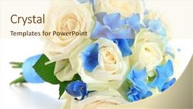  Presentation with wedding roses - Presentation having beautiful wedding bouquet with roses background and a cream colored foreground