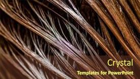  Presentation with hair care - Theme featuring beautiful-wet-long-hair background and a tawny brown colored foreground