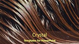  Presentation with hair care - Presentation theme enhanced with beautiful-wet-long-hair background and a tawny brown colored foreground