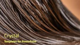  Presentation with long hair - PPT theme consisting of beautiful-wet-long-hair background and a tawny brown colored foreground