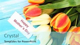  Presentation with color orange - Slide deck enhanced with beautiful-white-and-orange-tulips background and a arctic colored foreground