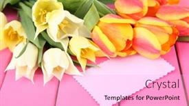  Presentation with color orange - 