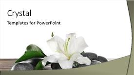  Presentation with lily - Presentation design featuring beautiful white lily and spa background and a white colored foreground