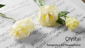  Presentation with music notes - Cool new slide set with beautiful white roses on musical backdrop and a light gray colored foreground
