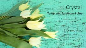  Presentation with tulips - 