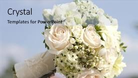  Presentation with white wedding - Beautiful PPT theme featuring newborn foal having fun on a summer pasture backdrop and a tawny brown colored foreground