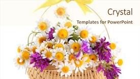  Presentation with wild flower in field of daisies - Amazing presentation design having bouquet daisies - beautiful wild flowers in basket backdrop and a cream colored foreground