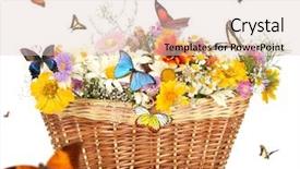  Presentation with beautiful spring flowers - Slide set with beautiful wild flowers in basket background and a lemonade colored foreground