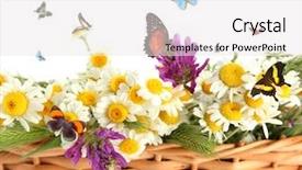  Presentation with white flowers - Beautiful slides featuring floral purple free - beautiful wild flowers in basket backdrop and a  colored foreground