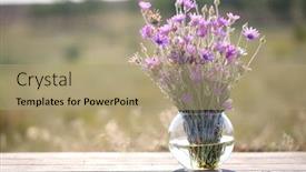  Presentation with flowers vase - Beautiful presentation theme featuring beautiful wild flowers in vase backdrop and a coral colored foreground