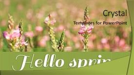  Presentation with beautiful spring flowers - Presentation theme having beautiful wild flowers in the field hello spring concept background and a yellow colored foreground
