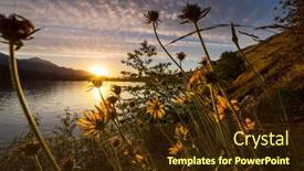  Presentation with beautiful green - Slide deck enhanced with beautiful-wildflowers-on-a-green background and a tawny brown colored foreground
