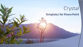  Presentation with beautiful green - Slide deck with beautiful-wildflowers-on-a-green background and a sky blue colored foreground