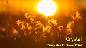  Presentation with beautiful green - PPT layouts consisting of beautiful-wildflowers-on-a-green background and a tawny brown colored foreground