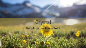  Presentation with beautiful green - Presentation theme having beautiful-wildflowers-on-a-green background and a yellow colored foreground