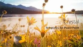  Presentation with season - Slide set featuring beautiful-wildflowers-on-a-green background and a yellow colored foreground