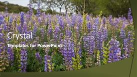  Presentation with season - PPT theme featuring beautiful-wildflowers-on-a-green background and a tawny brown colored foreground