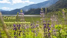  Presentation with beautiful-green - PPT theme having beautiful-wildflowers-on-a-green and a tawny brown colored foreground