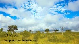  Presentation with africa tourism - Beautiful slides featuring beautiful-windy-day-the-famous backdrop and a gold colored foreground