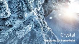  Presentation with winter weather - Cool new presentation theme with beautiful winter background fresh fir tree branches covered with snow bright sunny cold frosty day christmas holidays beauty of a wintertime weather backdrop and a teal colored foreground