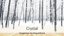  Presentation with wood planks - Cool new presentation theme with beautiful winter forest with wood backdrop and a  colored foreground