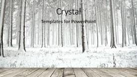  Presentation with wood planks - Amazing PPT theme having beautiful winter forest with wood backdrop and a light gray colored foreground