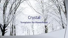  Presentation with forest road - Beautiful presentation theme featuring beautiful winter forest backdrop and a sky blue colored foreground