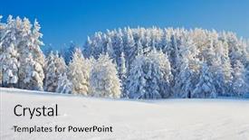  Presentation with winter evergreen forest - Slide deck enhanced with beautiful winter forest background and a light gray colored foreground