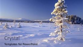  Presentation with winter landscape winter tree - PPT theme having beautiful winter landscape of snowy tree in sweden background and a light blue colored foreground
