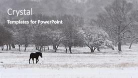  Presentation with winter weather - Slide set having beautiful-winter-landscape-on-harsh background and a gray colored foreground