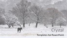  Presentation with winter weather - Cool new theme with beautiful-winter-landscape-on-harsh backdrop and a white colored foreground